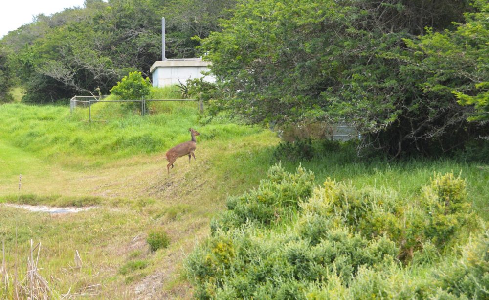 Sardinia Bay Golf & Wildlife Estate